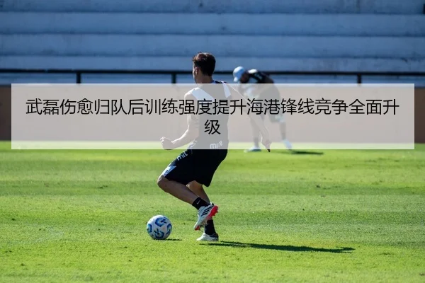 武磊伤愈归队后训练强度提升海港锋线竞争全面升级